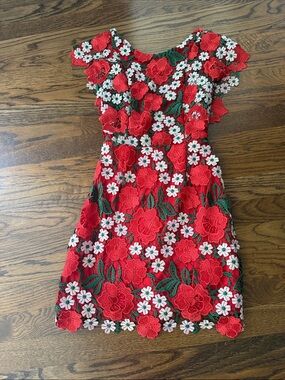 Top Shop Red Floral Lace Appliqué Dress